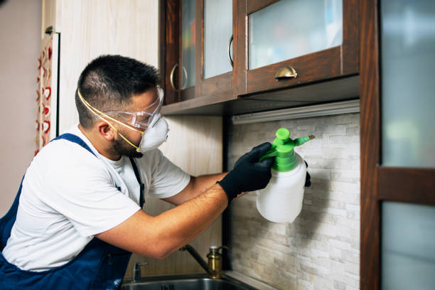  Virginia, MN Pest Control Pros