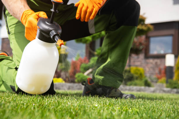 Best Cockroach Control Services  in Virginia, MN