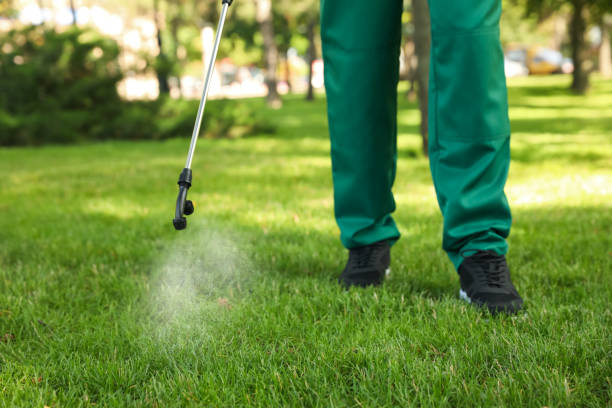 Best Pest Control for Restaurants  in Virginia, MN