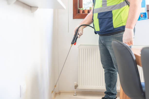 Best Rat Extermination Near Me  in Virginia, MN