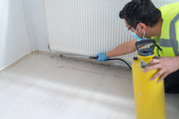 Best Affordable Pest Control Services  in Virginia, MN