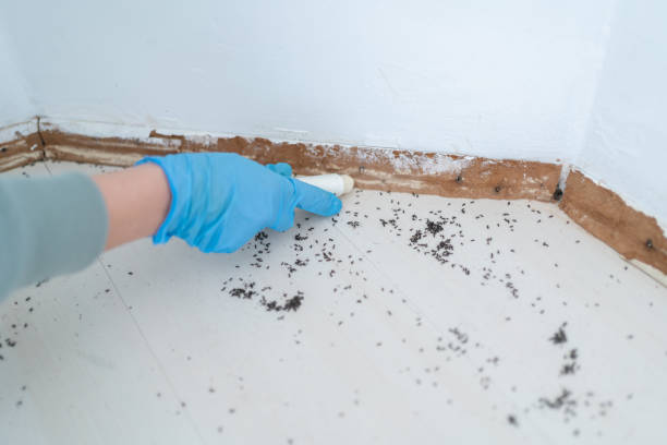 Best Wildlife Control Services  in Virginia, MN